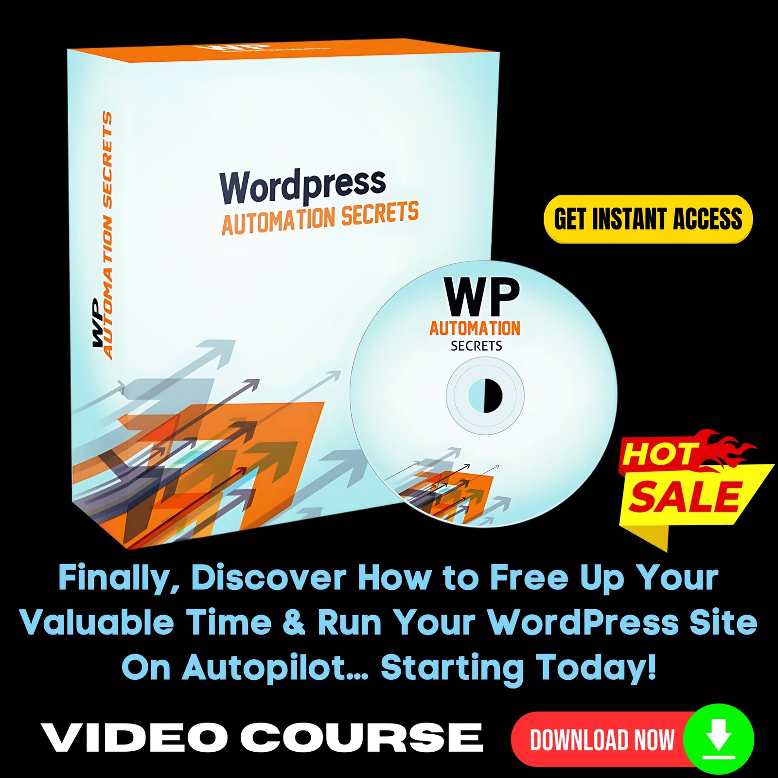 WP Automation Secrets (Video Training)