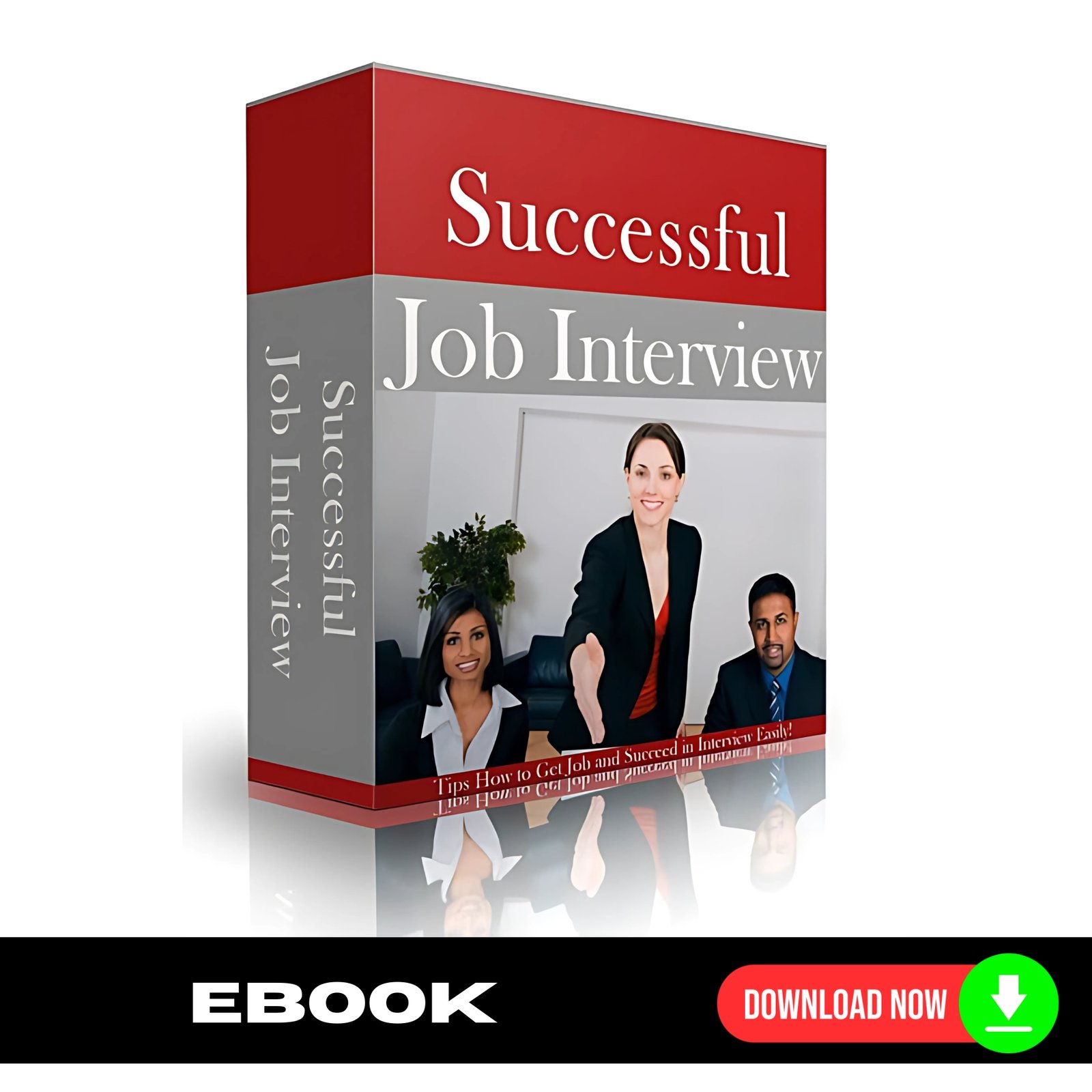 Successful Job Interview - eBook