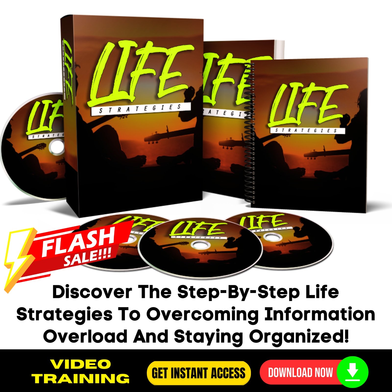 Life Strategies Upgrade Package - Video Course